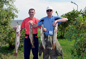 Фестиваль NLE c кубком по спортивной рыбалке 2018