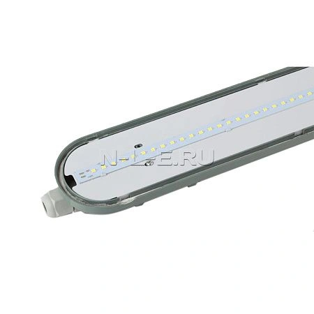 картинка Светильник светодиодный Эра SPP-2-36-6K-M IP65 1200х76х66 36Вт 3200Лм 6500К матовый
