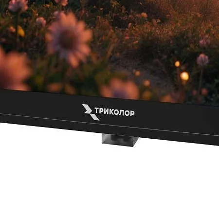 Телевизор Триколор P24HH302, SMART TV, 24", голос, черный